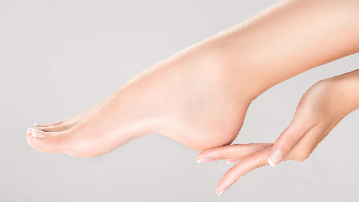 Home EP Fitness Trainer